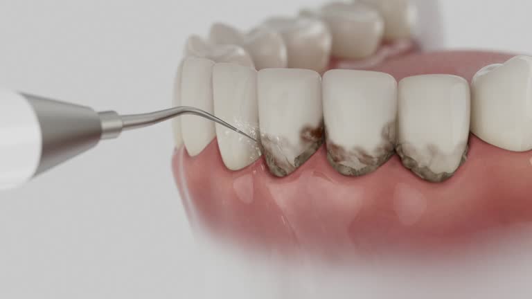 Reliable Dental contractor in Nevada, MO by Dentist Open Now